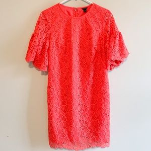 Ann Taylor Ruffle Sleeve Dress Size 2 NWT